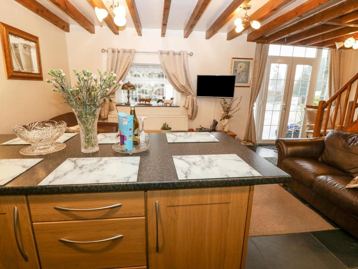 Villa Bwthyn Ael Y Bryn à Dolbenmaen Extérieur photo